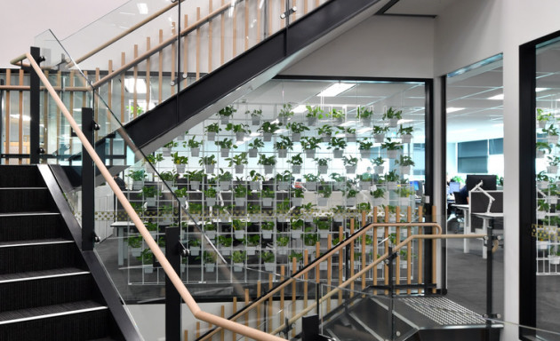 The Star Entertainment Group