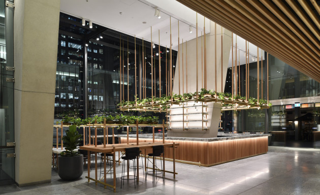 20 Bond Street Ground Plane Upgrade